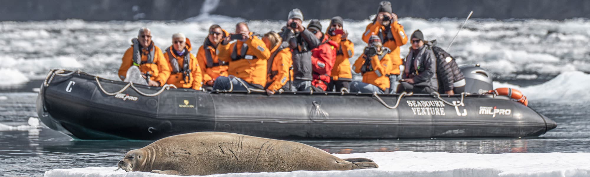 Arctic Zodiac Expedition